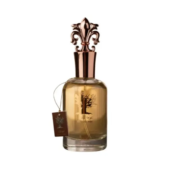 Perfume Manasik Oud Lil-Abad 100ml Eau de Parfum - Unissex