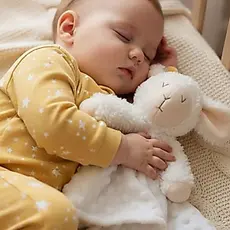 Naninha Premium Ovelha Super Fofinha para Bebê + Prendedor de chupeta – Antialérgica, Macia e Segura