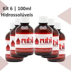 KIT 6 Essências Hidrossolúveis 100ml - Para Difusores, Home Sprays, Aromatizadores e Umidificadores