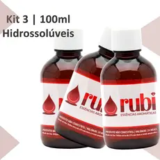 KIT 3 Essências Hidrossolúveis 100ml - Para Difusores, Home Sprays, Aromatizadores e Umidificadores