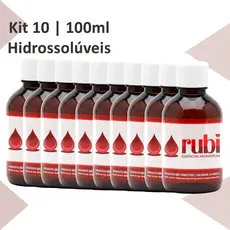 KIT 10 Essências Hidrossolúveis 100ml - Para Difusores, Home Sprays, Aromatizadores e Umidificadores