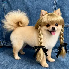 Peruca Para Animais De Estimação De Halloween Cães Adorável Cosplay Com Tranças Duplas E Laços Gatos Perfeito Festas De 