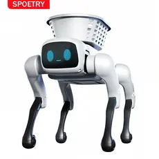 SPOETRY Brinquedo Inteligente Voz Robô Controle Remoto Programação