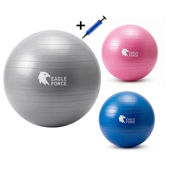 Bola de Ginástica Suíça Yoga Pilates 55/65cm com Tecnologia Anti-Estouro - Eagle Force