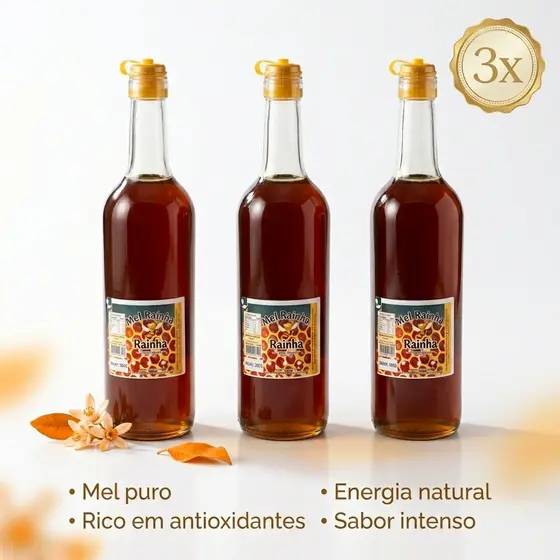 Mel Silvestre 100% Puro Orgânico Abelha Rainha 900ml - MG