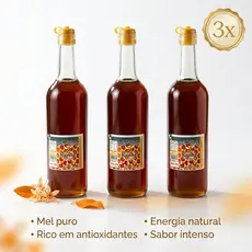 Mel Silvestre 100% Puro Orgânico Abelha Rainha 900ml – Garrafa de Vidro – MG