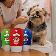 Gel Dental Dedeira Cães Gatos Cães Gatos