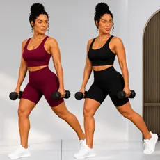 Kit 02 Conjuntos Feminino Fitness Short + Top Alta Compressão Cós Alto Zero de Transparência