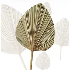 Folha Decorativa desidratada natural Folhagem para decoração Casamento festas Decoração de interiores