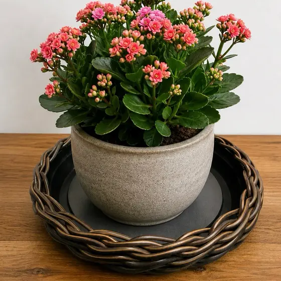 Prato para Vaso de Plantas 30cm Decorativo com Borda Trançada | Base para Vasos | Jardim, Varanda e Decoração