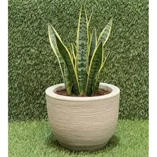 Vaso Polietileno Para Plantas Jardim Sala Luxo escovado bojo pequeno Com Prato