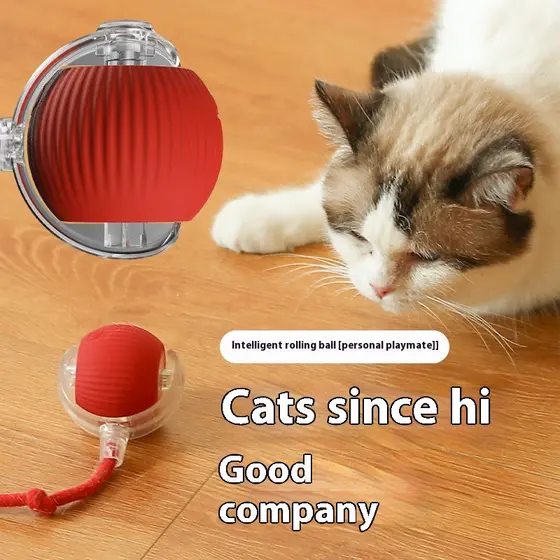 Bola de Brinquedo para Gatos Design Interativo para Diversão Contínua, Mantém Seu Pet Ativo e Saudável