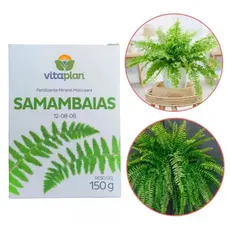 Fertilizante Adubo Samambaias 150g NPK 12 08 06 Vitaplan 150g Crescimento Jardinagem