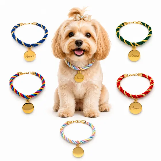 Coleira Pingente Pet Luxo Personalizado Plaquinha Delicada Identificação Tag Nome Cachorro Fofo