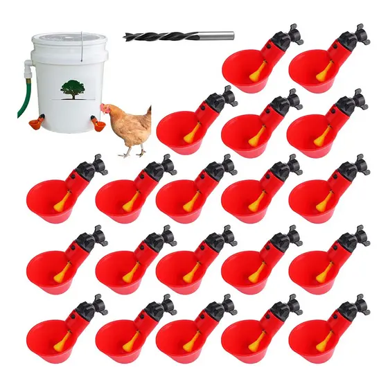 20 Bebedouro Automático Copinho Copo Bebedor Aves Frangos