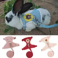 Impressão Dos Desenhos Animados Do Gato Coelho Arnês E Trela Set Coelhos Pet Acessórios Bunnies Colete Roupas lapin