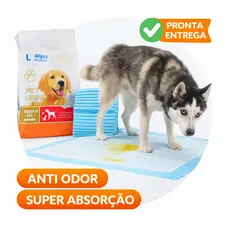 Tapete Higiênico Pet 60x60 Super Absorção 40 Unidades Anti Odor Cães e Gatos  Envio Imediato