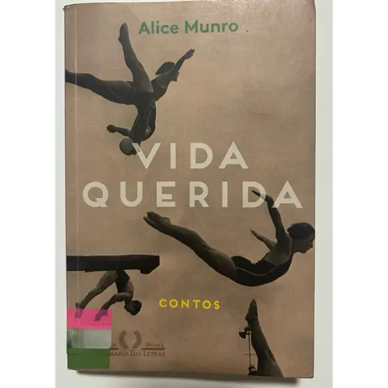 Vida Querida – Alice Munro | Contos | Prêmio Nobel de Literatura | Companhia das Letras