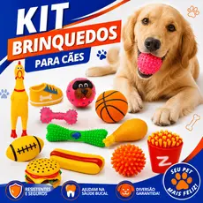 Kit Mordedores Para Cachorro Brinquedos De Borracha Divertidos Para Cães Pequeno Médio Sortidos