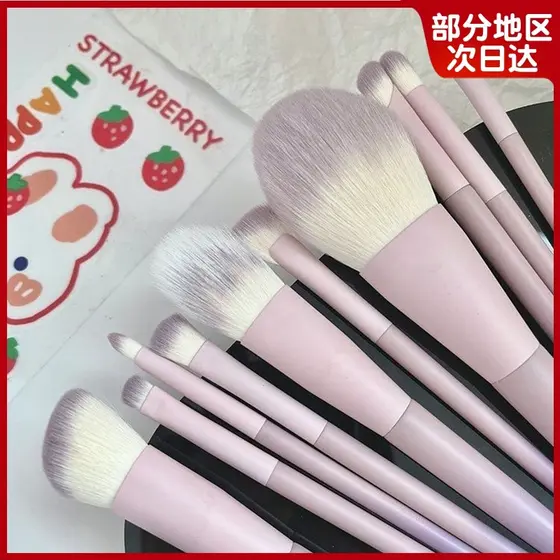 10 conjuntos de pincéis de maquiagem conjunto completo genuíno cabelo macio sombra Blush corretivo nariz sombra pó solto