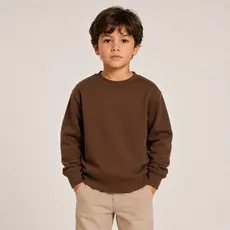 Moletom Infantil Menino Peluciado Grosso Roupa de Frio Infantil