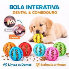 Pet Mordedor Bola Multifuncional Escova Mordedor Porta Petisco Pet Ball 6 cm