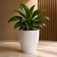 Vaso para Plantas Decorativo 32cm polido com Prato | Vaso Moderno para Sala Jardim Varanda Decoração