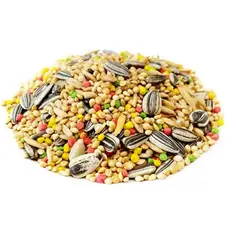 Racao Mistura Mix Para Calopsita Com Mel Alimento Completo Sementes Selecionadas 1 a 5kg