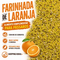 Vitamina De Laranja Com Mix De Sementes Para Pássaros | Suplemento Natural – Canário Pintassilgo Coleiro Trinca Ferro