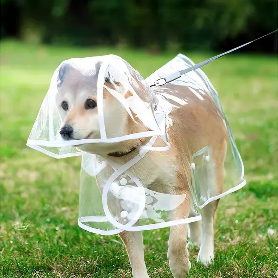 Capa de Chuva Pet Impermeável Transparente com Capuz para Cachorro e Gato Proteção