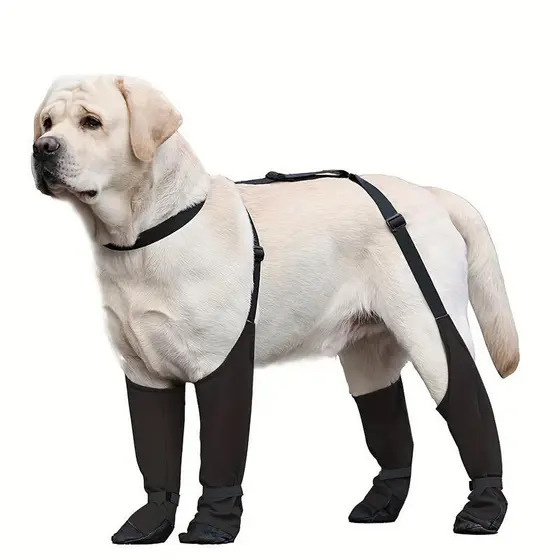 1 conjunto de botas de chuva para cães, botas impermeáveis para cães, botas para filhotes pequenos, cães médios e grande