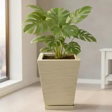 Vaso para Planta Escovado Quadrado com Prato Resistente Decorativo Em Polietileno