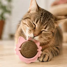 Brinquedo com Bola Erva Natural do Gato Relaxante Catnip Carinha do Gato Corpinho do Gato