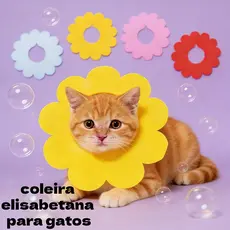 Colar Elizabetano Formato Flor Anti-Lambida e Anti-Mordida Segurança Pet