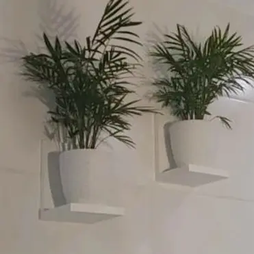 Conjunto 4 Prateleiras L 100% Mdf Multiuso Suporte Para Suculentas Decoração Ambiente