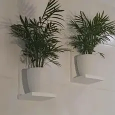 Conjunto 4 Prateleiras L 100% Mdf Multiuso Suporte Para Suculentas Decoração Ambiente