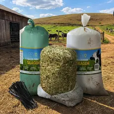 Sacos Silagem 52x110x200 Micras - 200 unidades com Abraçadeiras