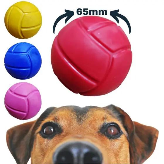 Brinquedo Bola Pet moedor.