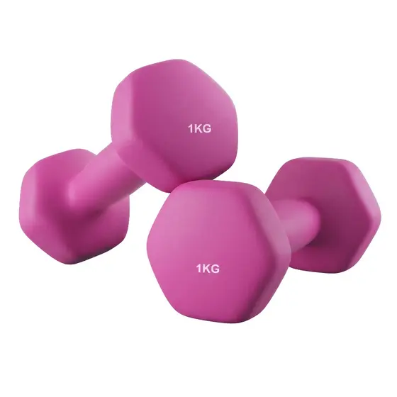 SONGMICS Par de Pesos Livres, Halteres Hexagonais com Revestimento em Neoprene, Exercícios em Casa, 2 x 1 kg, Rosa