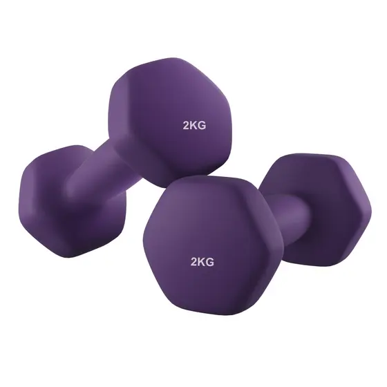 SONGMICS Par de Halteres Hexagonais, 2 x 2 kg, Revestidos em Neoprene, Pesos para Exercícios em Casa, Fitness, Roxo
