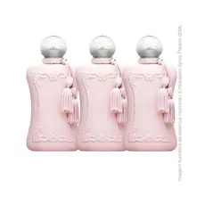 Perfumes Femininos Delina 60ml Aroma Marcante
