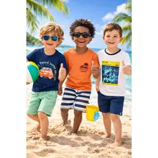 Conjunto Infantil Menino com Diversas Estampa Conjunto Verão Menino Infantil Blusa + Shorts Rei Rex