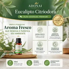 Óleo Essencial Eucalipto Citriodora 10ML Aroma Difusor Elétrico Umidificador Aromatização Fresco Puro