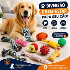 Kit 10/6 Brinquedos Mordedor Cachorro Filhote Anti Estress Pet Ranger os dentes Limpeza da boca