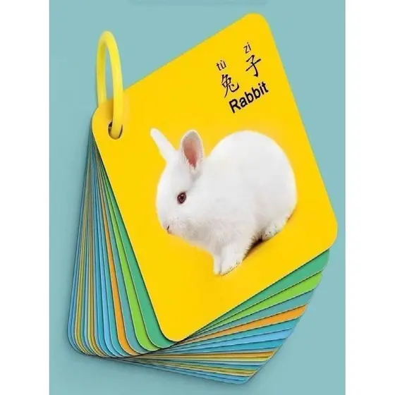 Katichen crianças dupla face brinquedos educativos cartão de alfabetização iluminação do bebê cartão Animal com fotos se