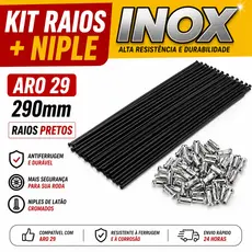 Raio Bike INOX Preto 290mm 2.0 Fino Aro 29 Alta Resistência c/ Niple Par MTB