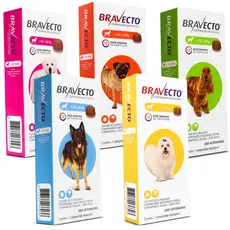 Antipulgas e Carrapatos Para Cães Bravecto 2kg a 56kg 112,5mg MSD