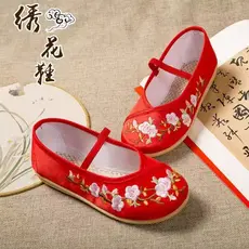 Hanfu sapatos bordados traje antigo feminino estilo étnico Retro deslizamento em sapatos de dança
