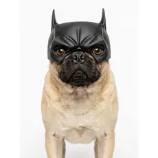 máscara batman para dogs/gatos