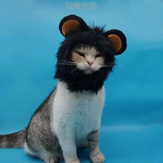 Criativo chapéu para animais de estimação bonito gato leão chapelaria cabeça de gato gatinho chapelaria Super bonito dos